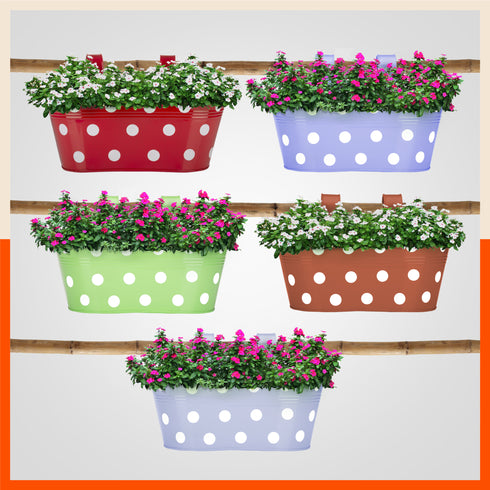 ARA Hanging Metal Pot Holders / Planters for Balcony / Garden | Urban Summer - Set of 5
